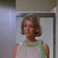 Inger Stevens Alaston