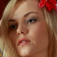 Janice A Alaston