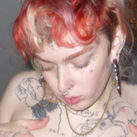 Maxi.venus Alaston