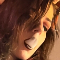 prototype.fox Alaston