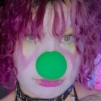 Xeniacxnt Alaston